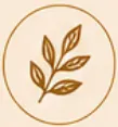 Signature Icon